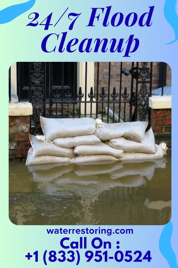 24/7 Flood Cleanup in Breedsville, MI
