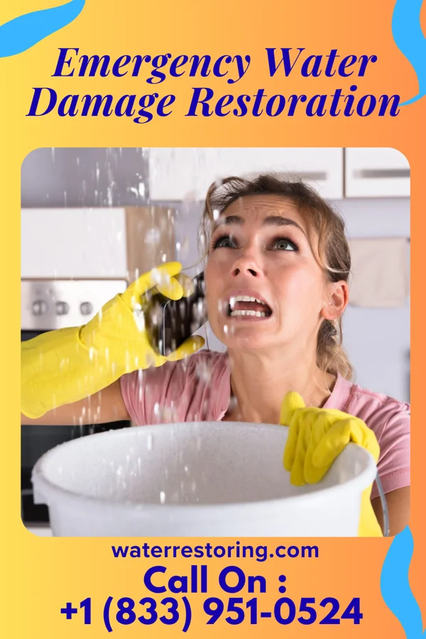 Emergency Water Damage Restoration in Breedsville, MI
