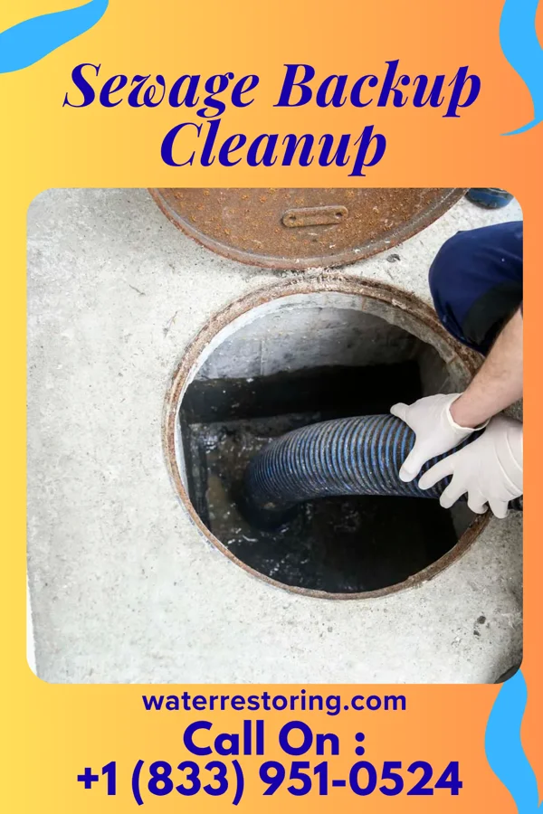 Sewage Backup Cleanup in Breedsville, MI